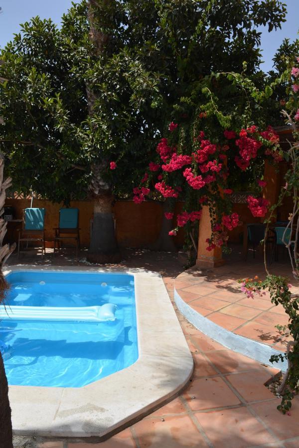 Apartamento Con Jacuzzi Y Terraza Con Opcion A Piscina Privada Almuñécar Extérieur photo